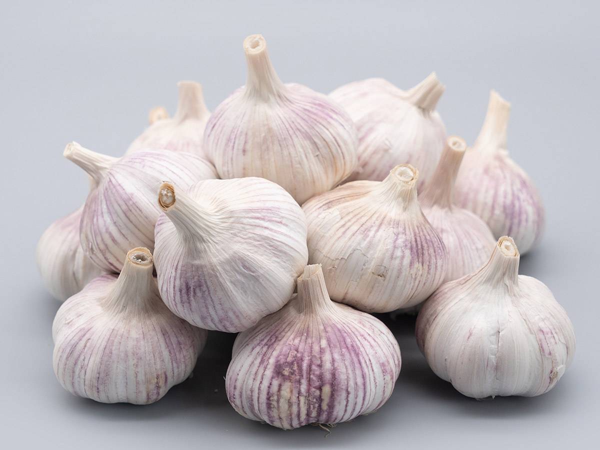 Normal White Fresh Garlic